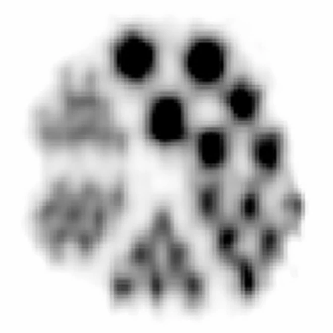 Ultra-micro Derenzo phantom, ICS events only, reconstructed with D3Recovery