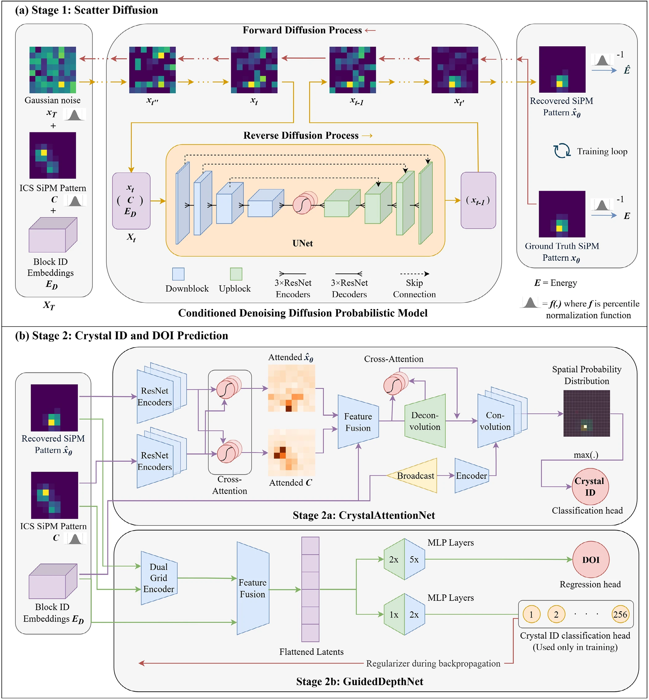 D3Recovery architecture. Stage 1, a conditioned denoising diffusion probabilistic model with a U-Net recovers the first-interaction SiPM pattern. Stage 2a, CrystalAttentionNet with ResNet encoders and cross-attention predicts a spatial probability map for the crystal ID. Stage 2b, GuidedDepthNet predicts DOI with a crystal ID head used only as a training regularizer.